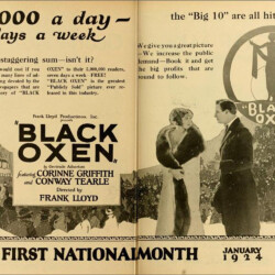 BLACK OXEN ADVERTISEMENT