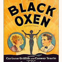 BLACK OXEN POSTER