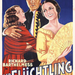 THE LASH FOREIGN POSTER