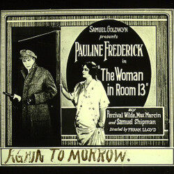 THE WOMAN IN ROOM 13