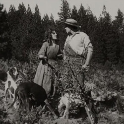 THE CALL OF THE CUMBERLANDS