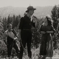 THE CALL OF THE CUMBERLANDS