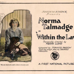 WITHIN THE LAW